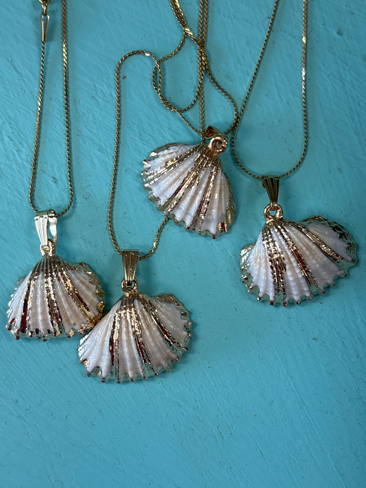 White Scalloped Seashell Necklace by Hollywood North Jewelry
