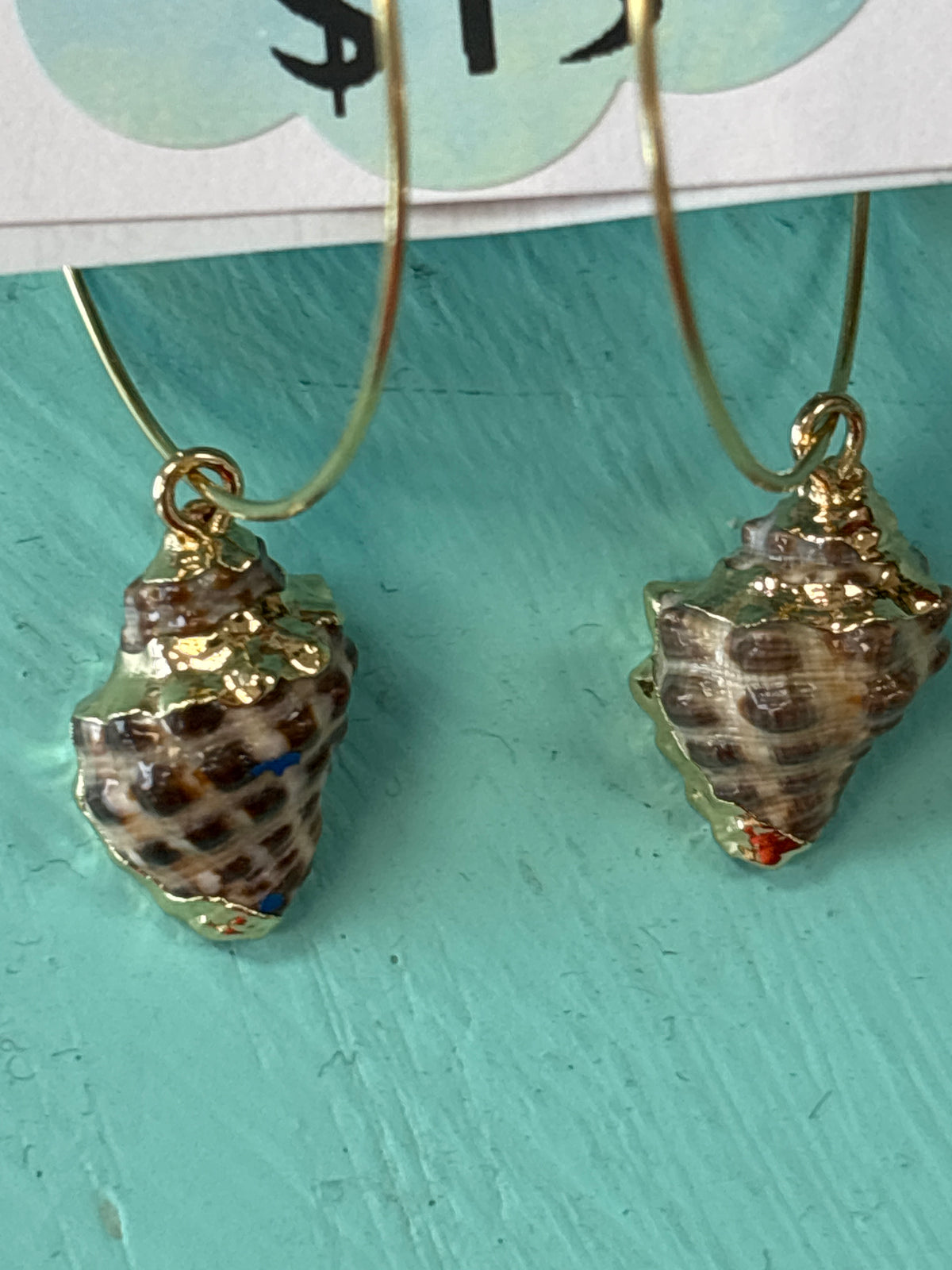 Dark Spiral Sea Shell Earrings by Hollywood North Jewelry