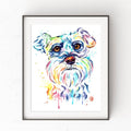 Schnauzer Watercolor Painting - Art Prints and Cards
