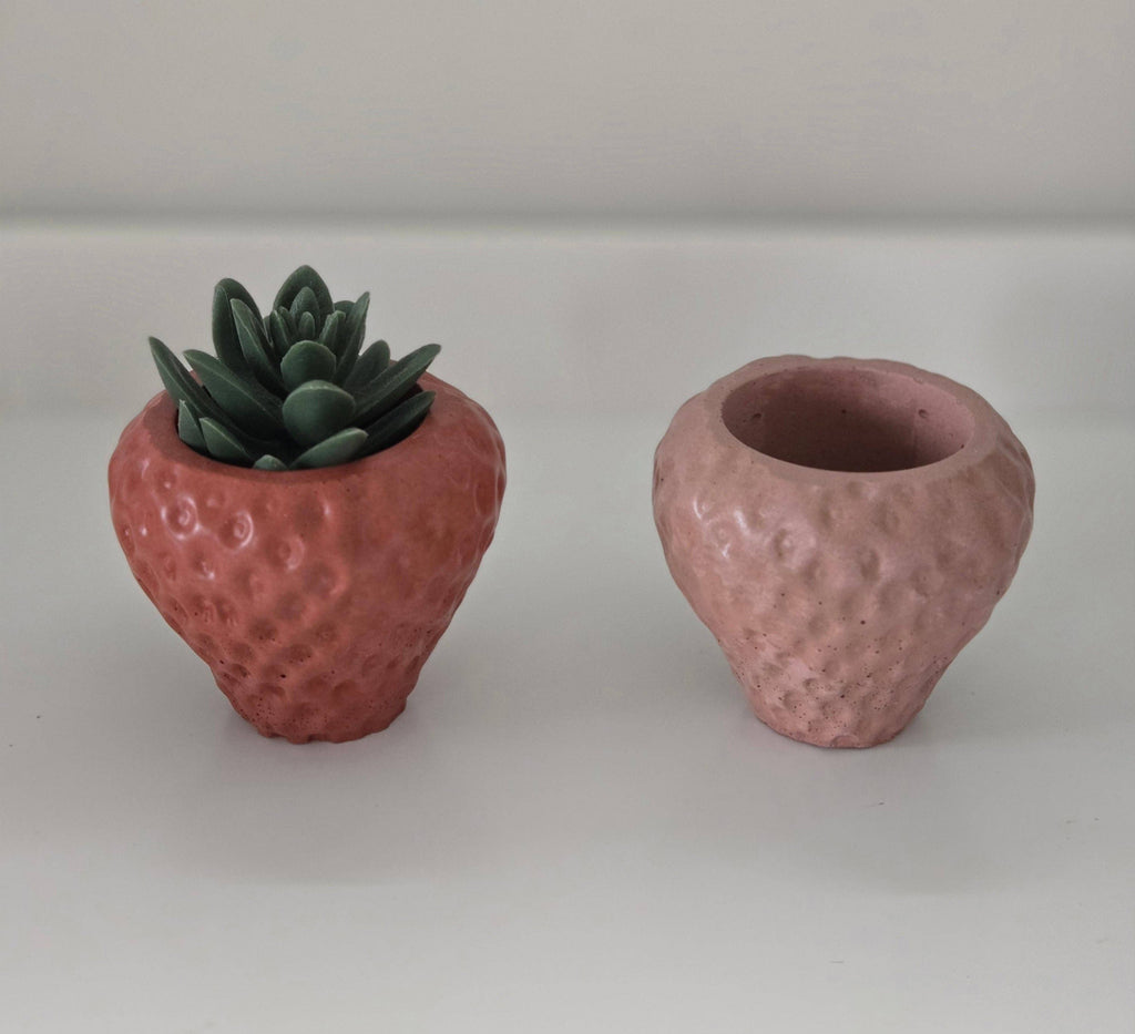 Strawberry Planter by Plant 'er Here