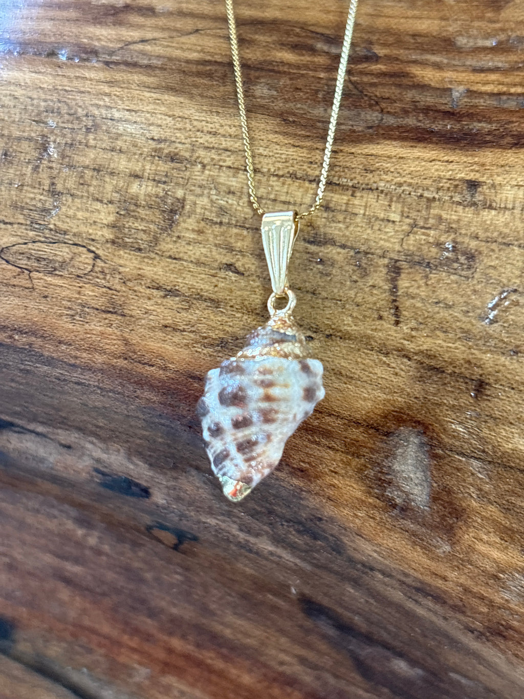 Dark Spiral Seashell Necklace by Hollywood North Jewelry