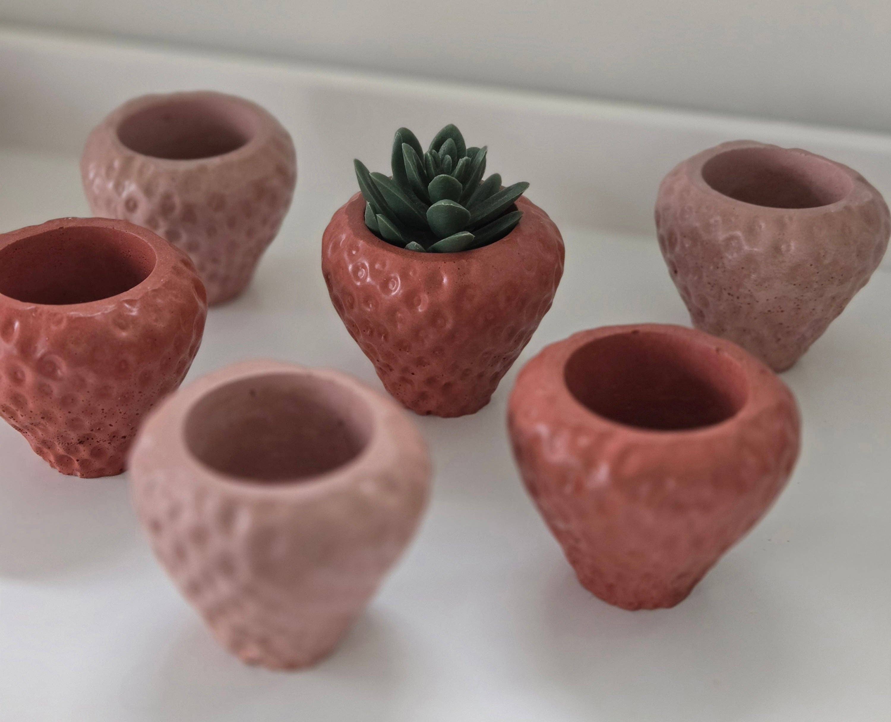 Strawberry Planter by Plant 'er Here