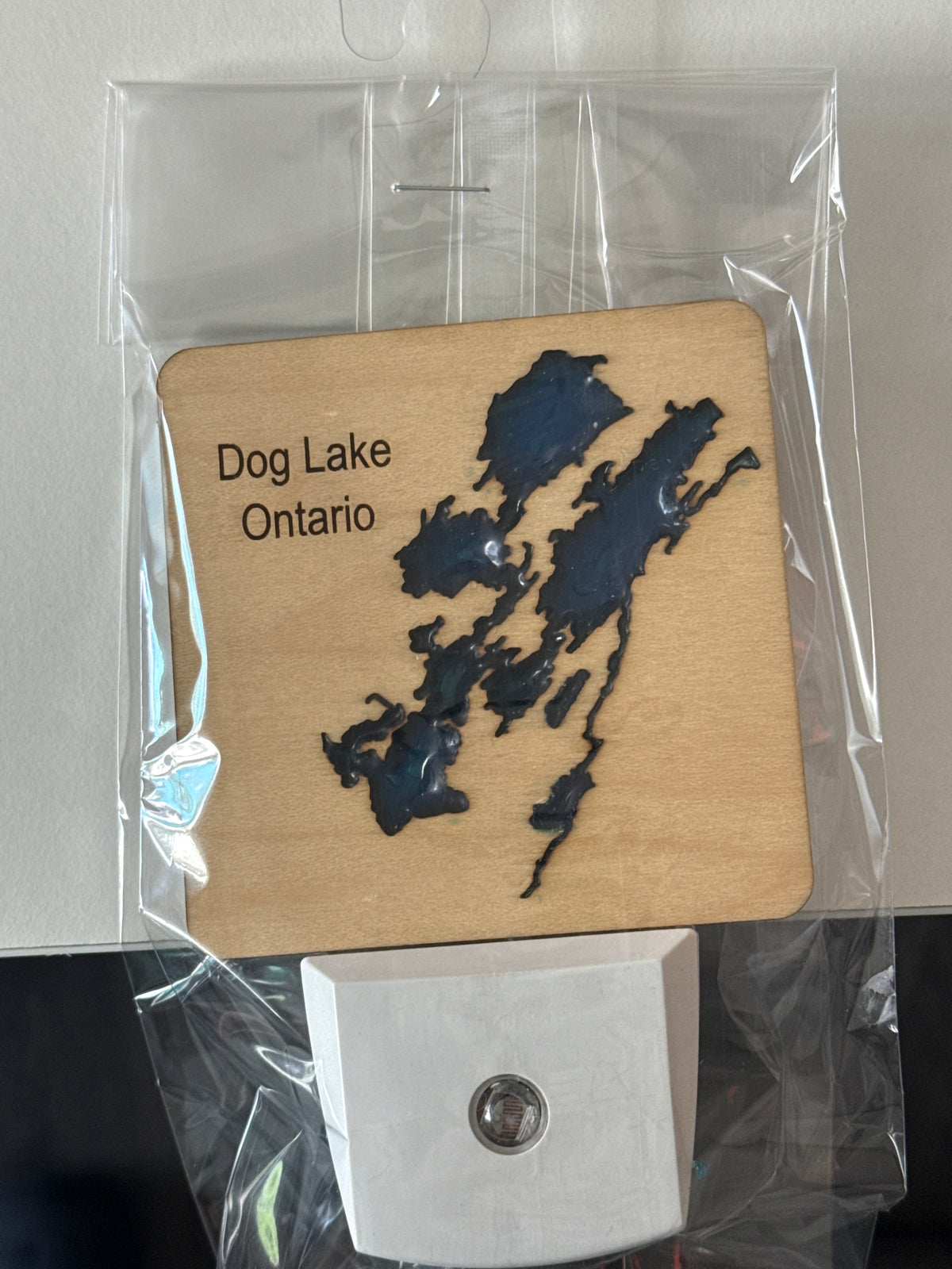 Wood and Resin Lake Nightlight by Goodwin Greetings