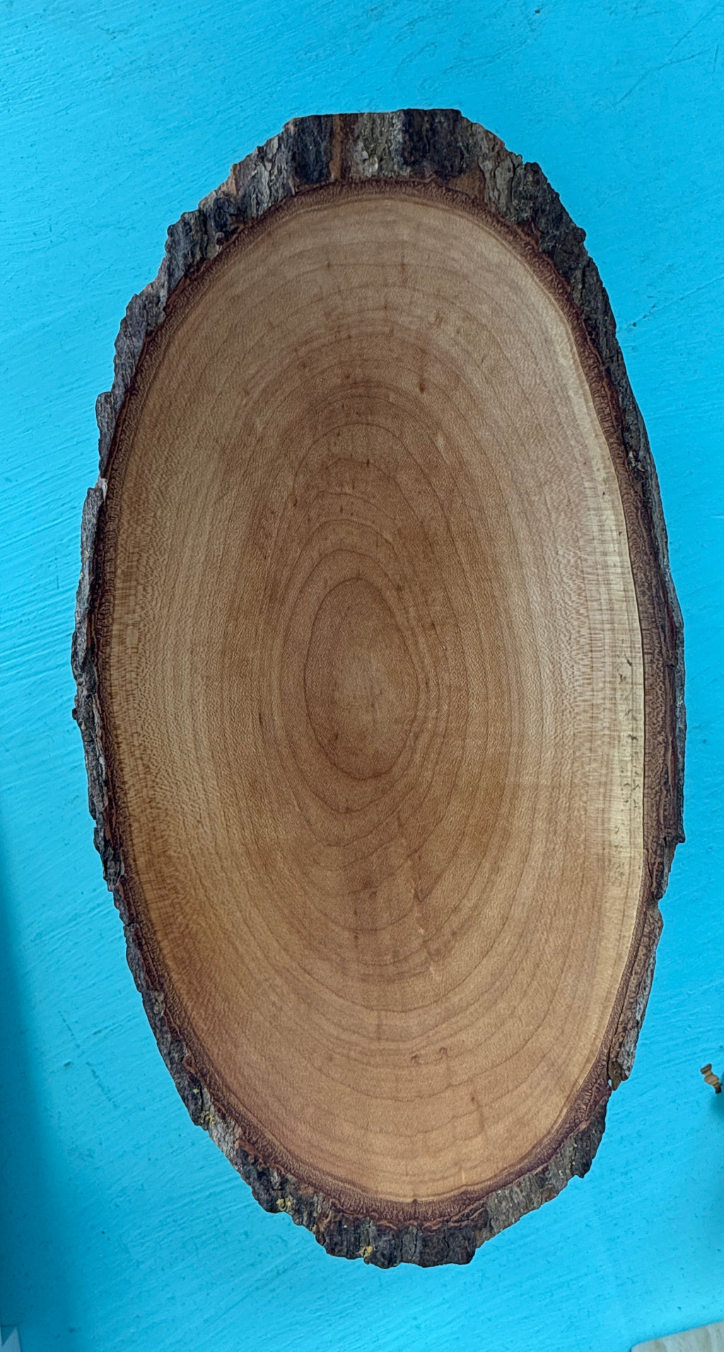 A natural wood slice serving board with a rustic bark edge, displayed on a bright blue surface.