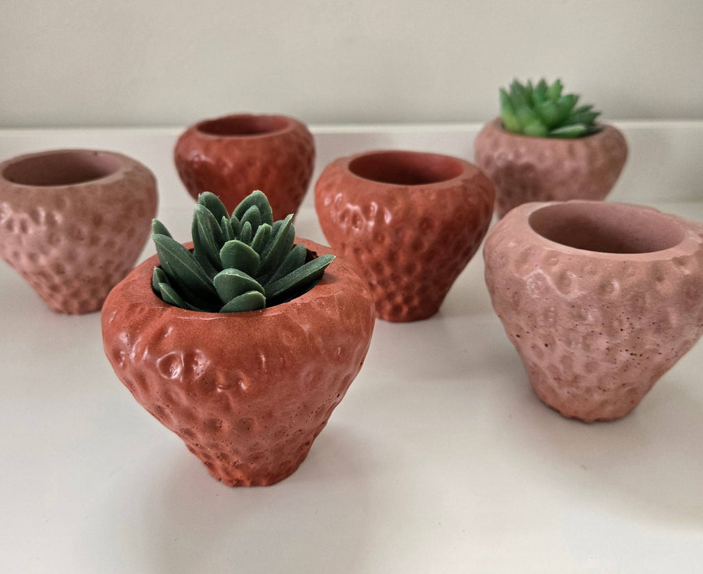 Strawberry Planter by Plant 'er Here