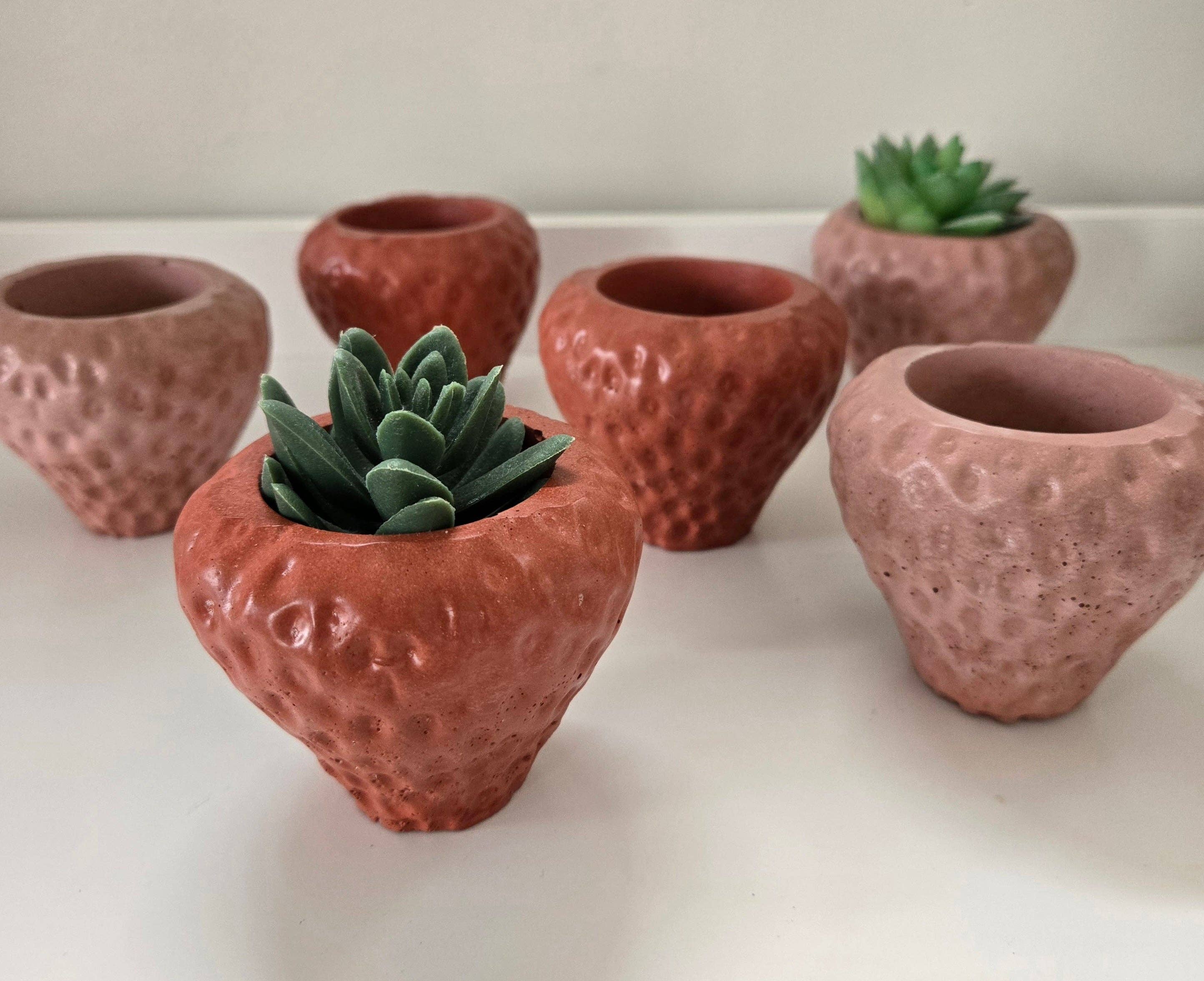 Strawberry Planter by Plant 'er Here