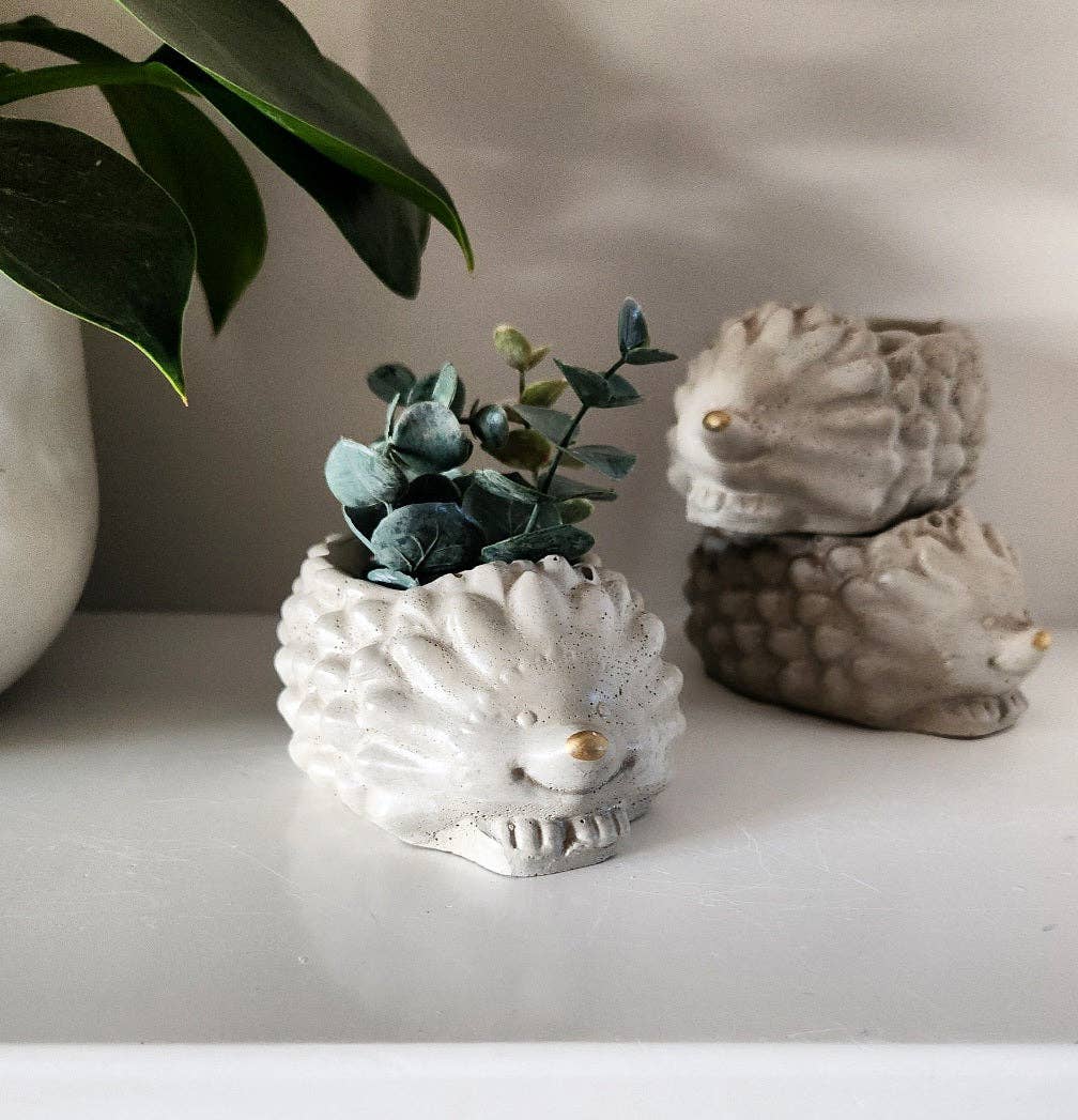 Marley the Hedgehog by Plant 'er Here