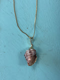 Dark Spiral Seashell Necklace by Hollywood North Jewelry