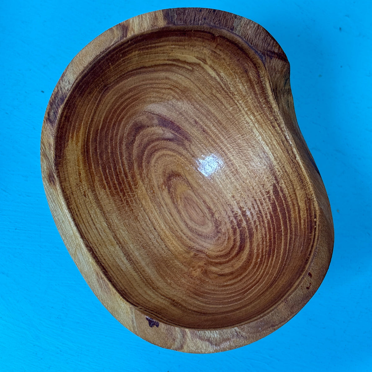 A handcrafted wooden bowl with a rich natural grain pattern, photographed from directly above against a solid bright blue background.