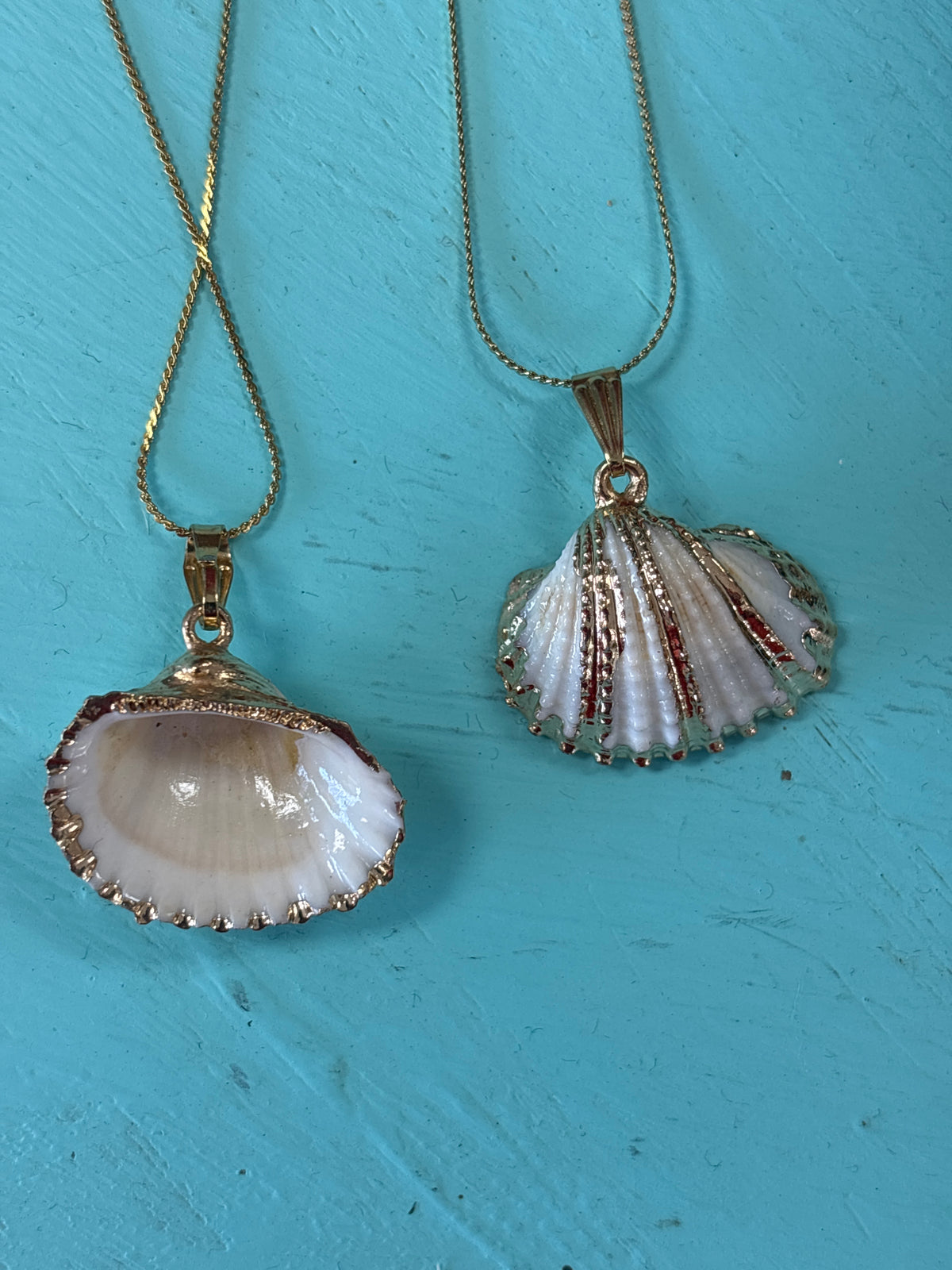 White Scalloped Seashell Necklace by Hollywood North Jewelry
