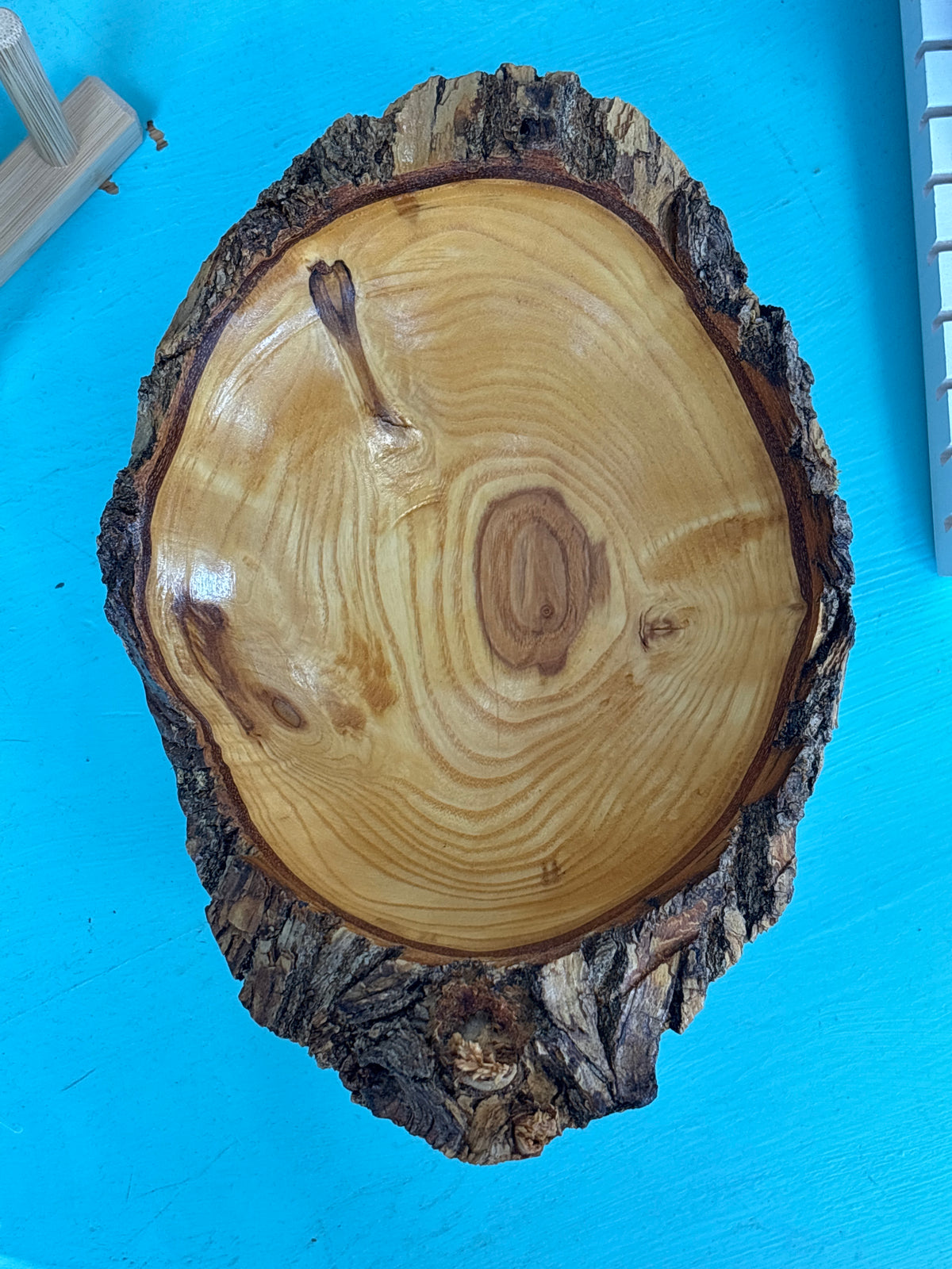 A rustic live-edge wooden serving bowl or tray with a polished light tan wood interior and dark bark outer edge, photographed from above on a bright blue surface.