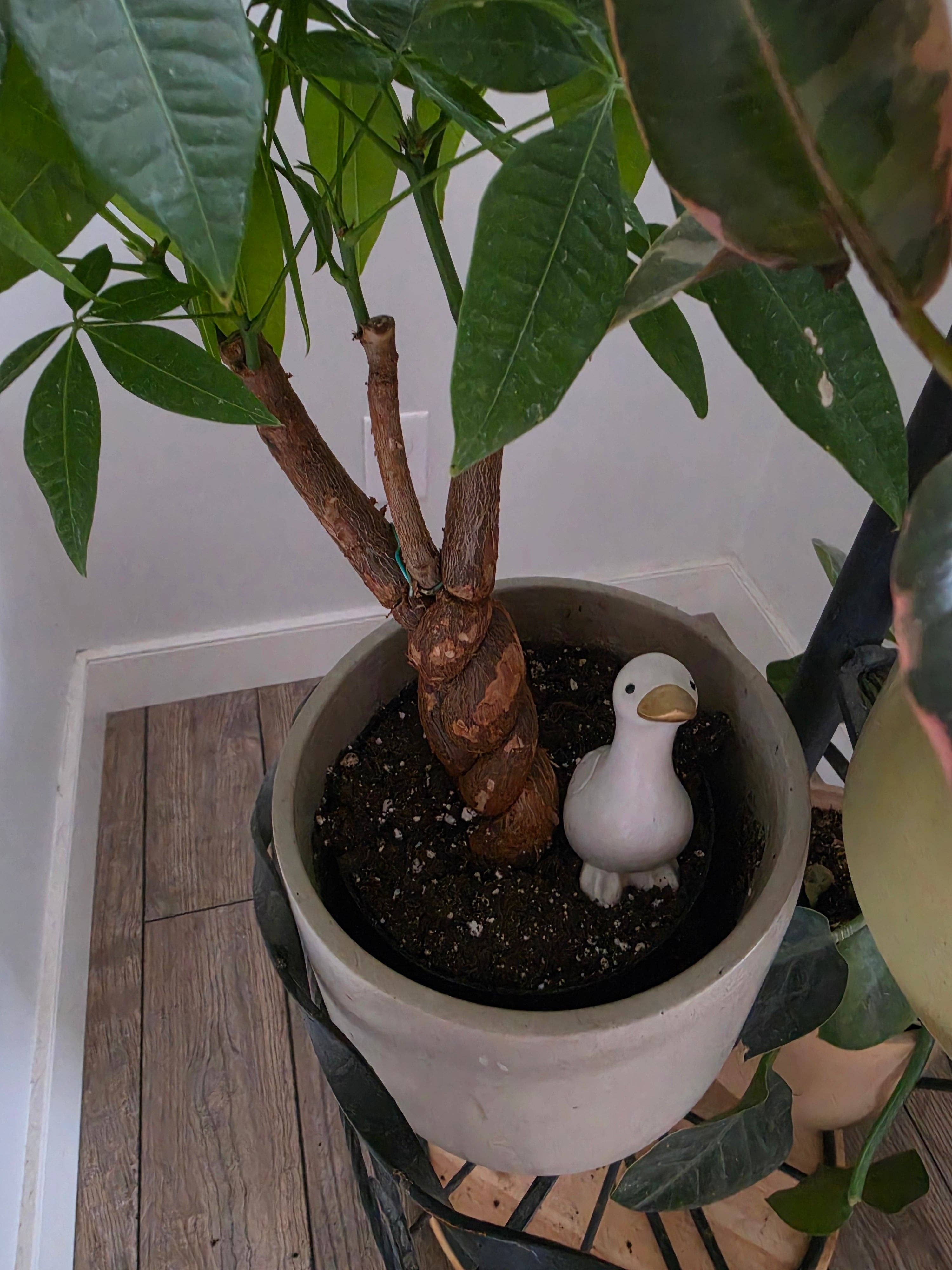 Goose Decor by Plant 'er Here