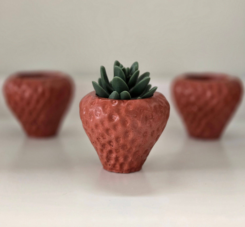 Strawberry Planter by Plant 'er Here