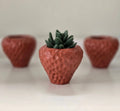 Strawberry Planter by Plant 'er Here