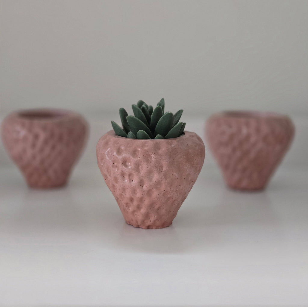 Strawberry Planter by Plant 'er Here