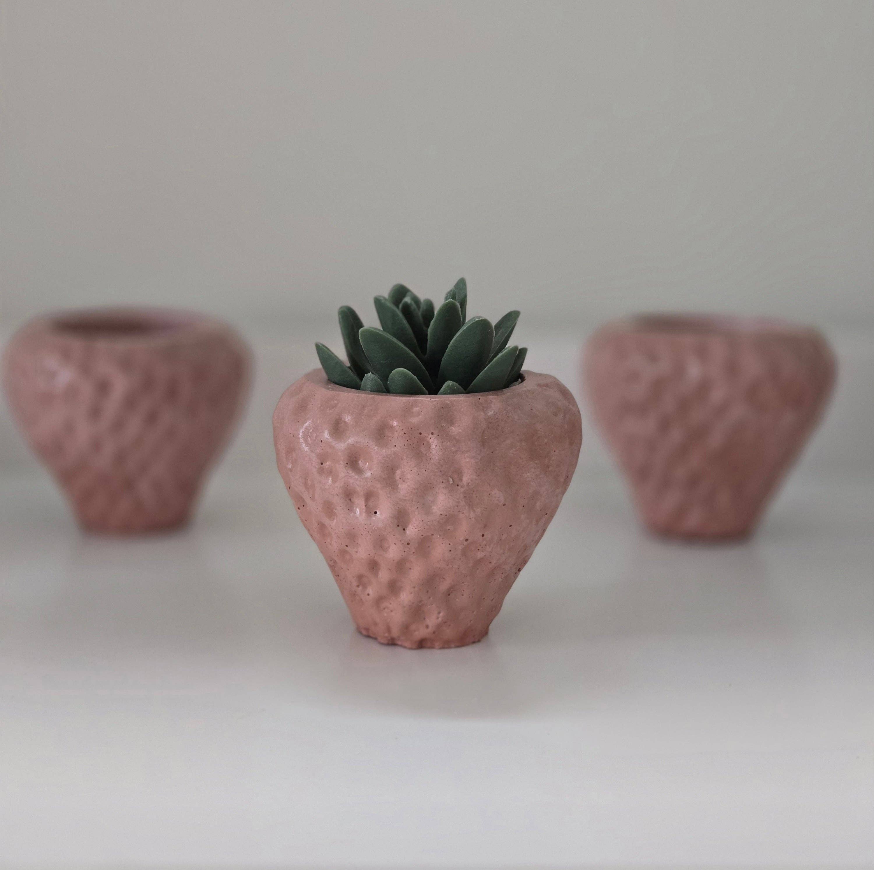 Strawberry Planter by Plant 'er Here