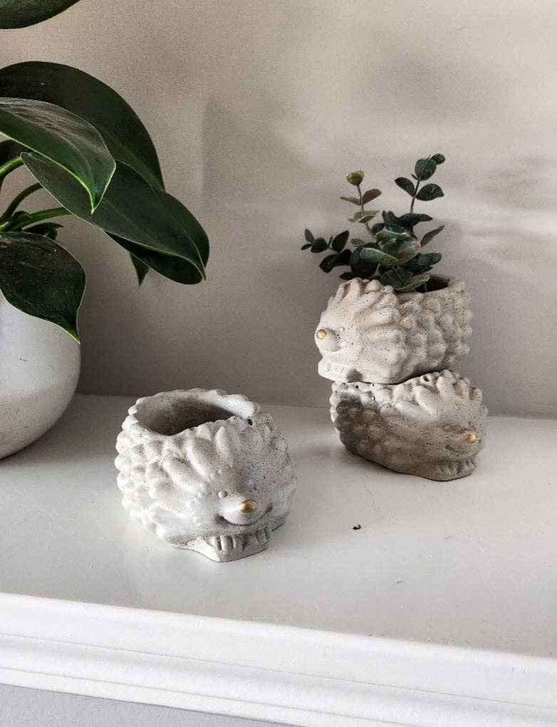 Marley the Hedgehog by Plant 'er Here