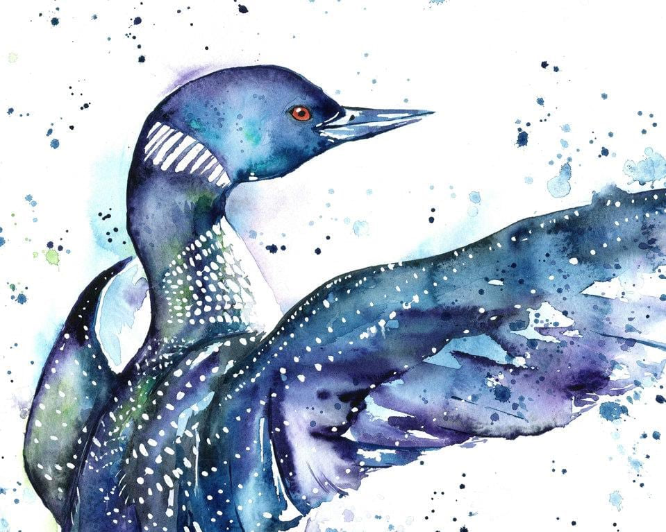 Loon Watercolor Painting Art Print